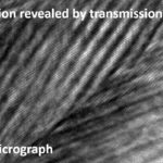 Lattice instability and structure modulation as a precondition for the magnetic shape memory effect  – new publication